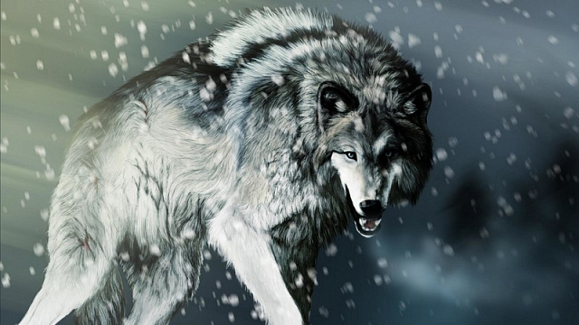 Картина Волк зимой - Животные 