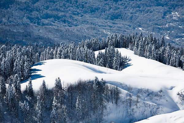Картина Снігова вершина - Природа 