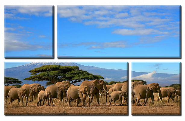 Картина Слони у пустелі - З чотирьох частин 