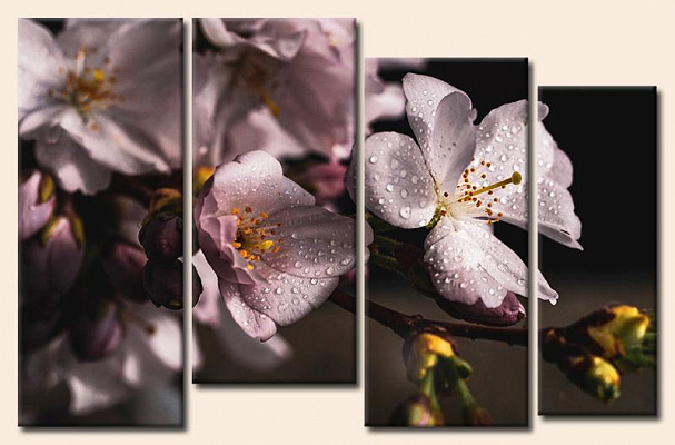 Картина Краплі на квітах - З чотирьох частин 