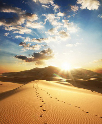 Картина Солнце над пустыней - Природа 
