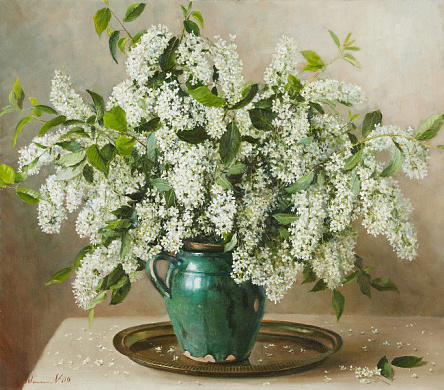 Белая сирень