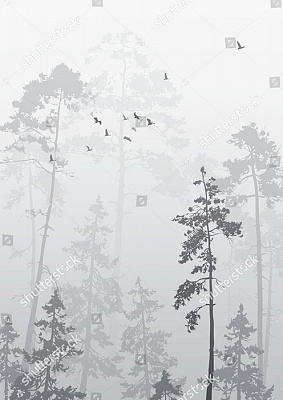 Картина Лес в дымке - Графика 