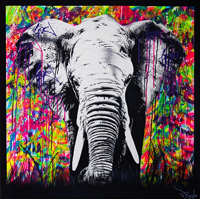 Картина Слон у барвисті бризки - Картини у вітальню 