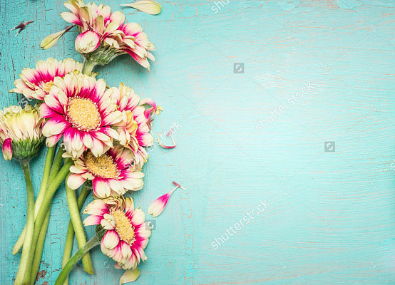 Картина Кольорові гербери - Квіти 