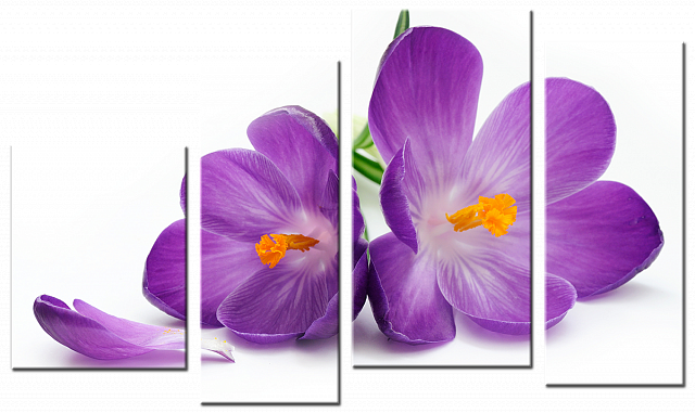 Картина Фіолетова квітка - З чотирьох частин 