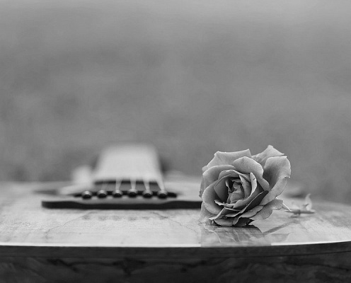 Картина Гитара и роза - Черно-белое 