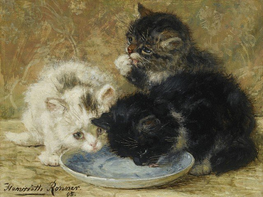 Картина Котята и миска - Роннер-Книп Генриетта 
