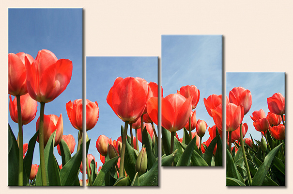 Картина Дивные тюльпаны - Из четырех частей 