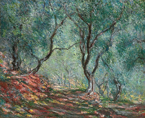 Картина Група оливкових дерев у Бордігері - Моне Клод 