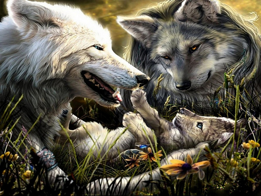 Картина Сім'я вовків - Невідомий художник 