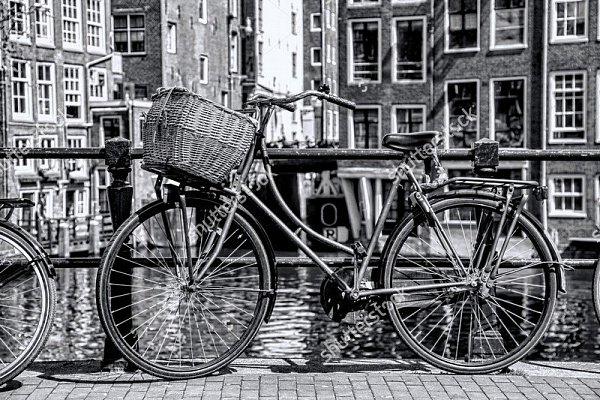 Картина Велосипед с корзинкой - Черно-белое 