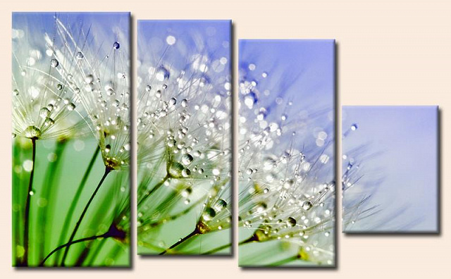 Картина Полевые цветы макро - З чотирьох частин 