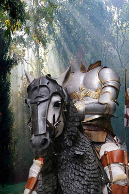 Картина Рыцарь на коне с доспехами - Военные 