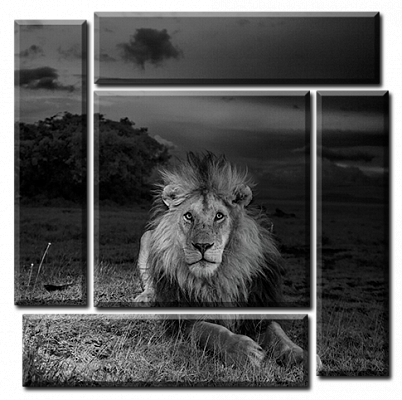 Картина Чорно-білий лев - З п'яти частин 