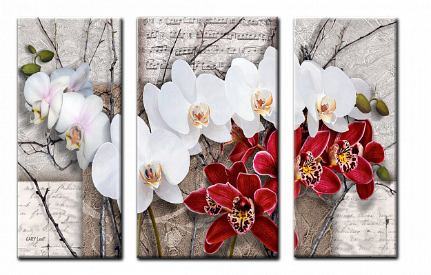 Картина Орхидея 4 - Из трех частей 
