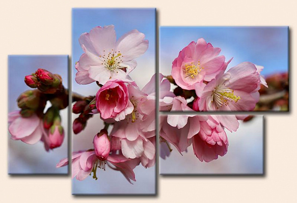 Картина Рожеве цвітіння - З чотирьох частин 