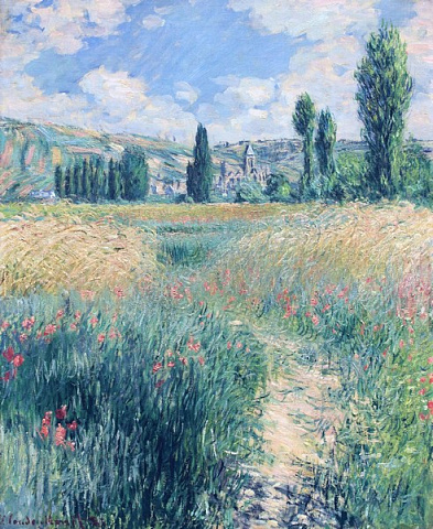 Стежка на острові Сен-Мартен