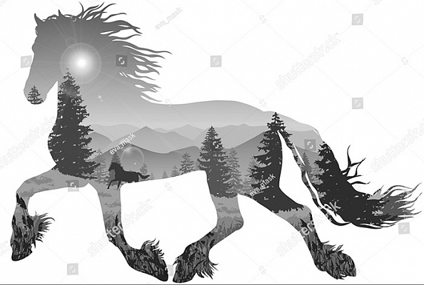 Картина Кінь сосни та гори - Графіка 