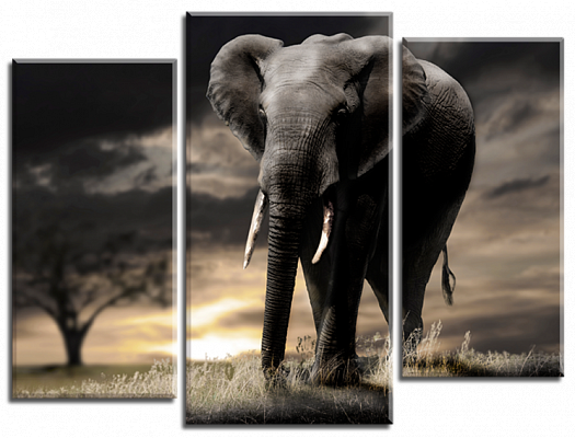 Картина Большой слон 2 - Из трех частей 