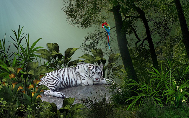 Картина білий тигр та папуга - Животные 