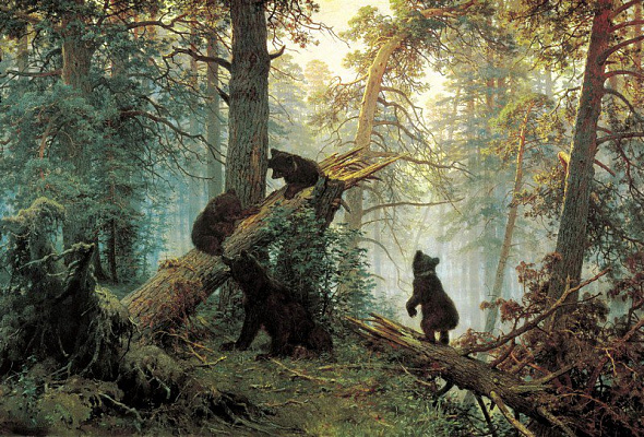 Картина Утро в сосновом лесу - Известные 