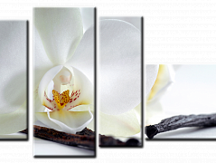 Белая орхидея. Модульная