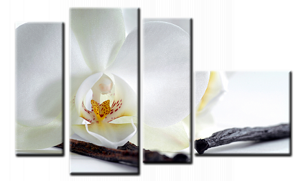 Белая орхидея. Модульная