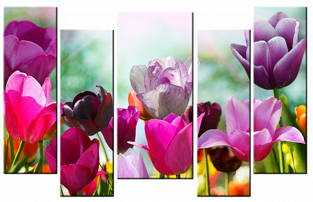 Картина Весенние тюльпаны - Из пяти частей 