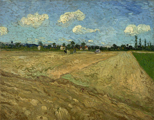 Картина Вспаханное поле - Ван Гог Винсент 