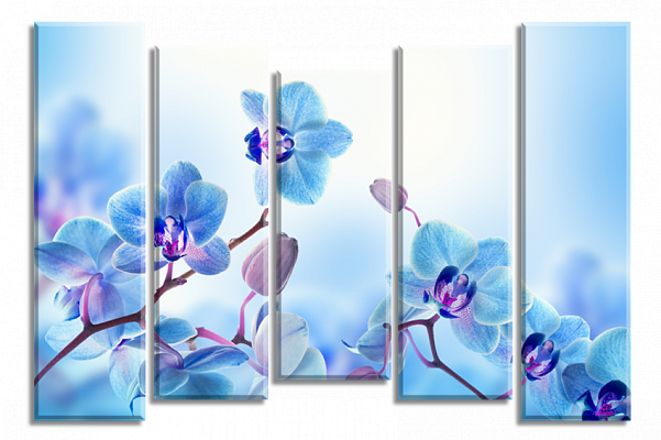 Картина Блакитні орхідеї 3 - З п'яти частин 