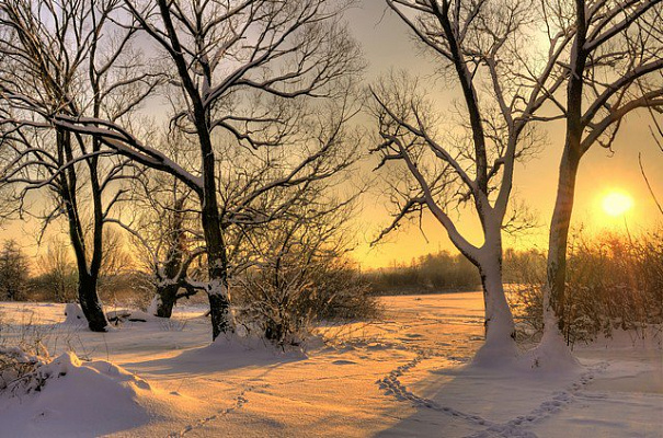 Картина Зимовий захід сонця - Природа 