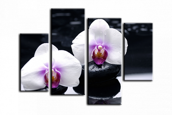 Картина Белые орхидеи - Из четырех частей 