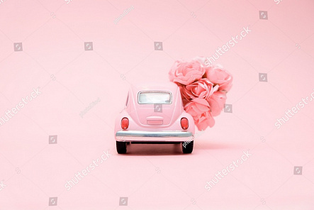 Машинка с цветком
