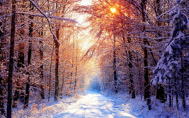 Картина Снежная дорога - Природа 