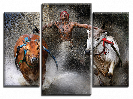 Покоритель