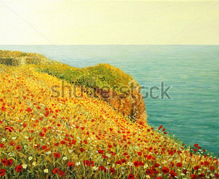 Маки на мисі Каліакра