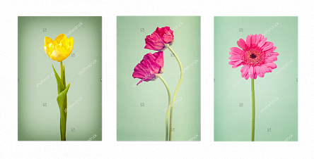 Цветочный день. Триптих