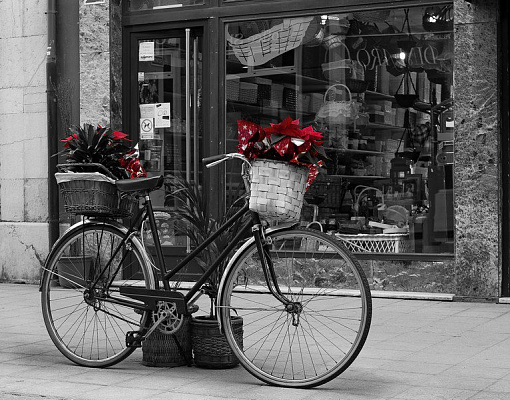 Картина Велосипед с корзинками - Черно-белое 