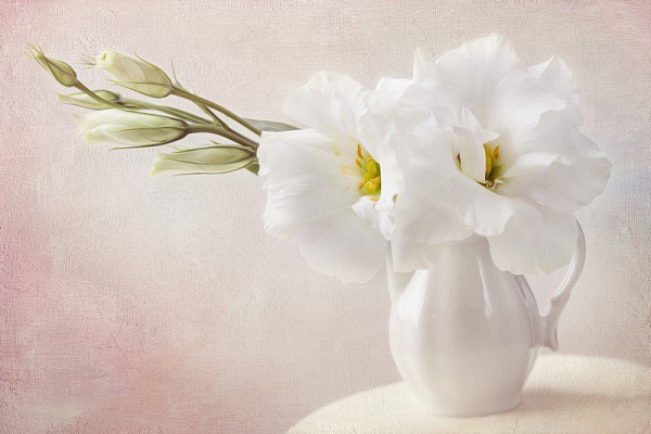 Картина Білі квіти у вазі - Квіти 