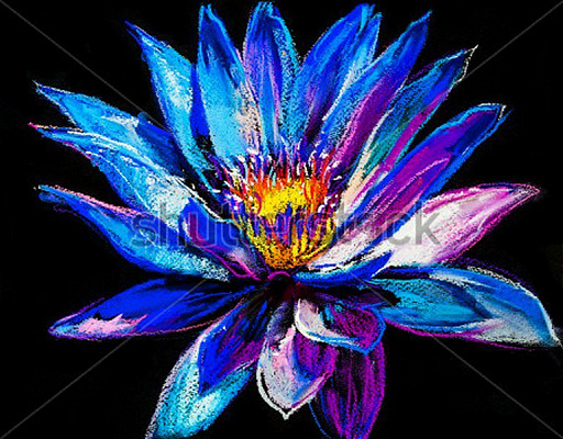Картина Голубая лилия - Николов Ивайло  