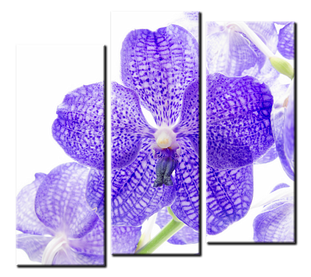 Картина Голубая орхидея - Из трех частей 