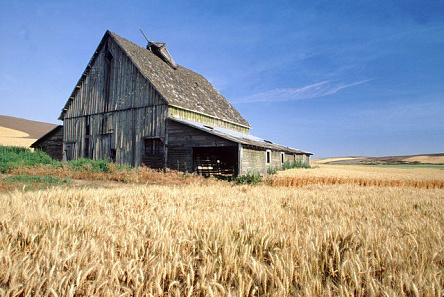 Домик в поле