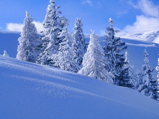 Картина Снежный склон - Природа 