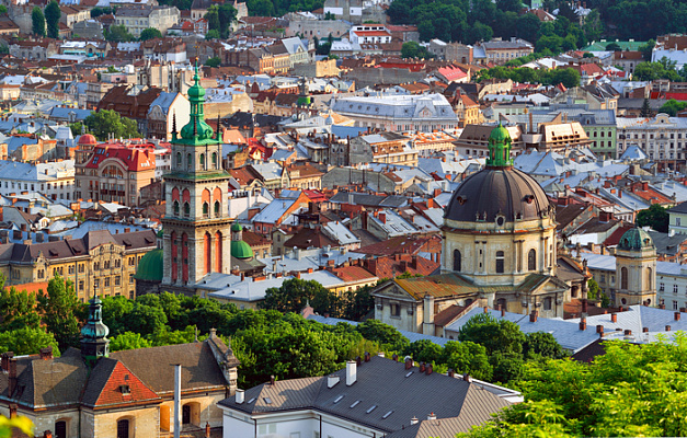 Картина Вид города с Высокого замка днем, Львов - Город 