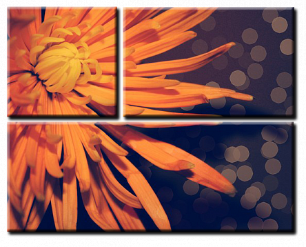 Оранжевое настроение 2