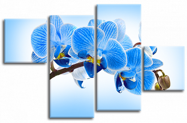 Картина Синяя орхидея - Из четырех частей 