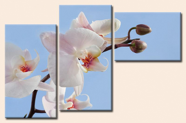 Картина Ветка белой орхидеи 3 - Из трех частей 