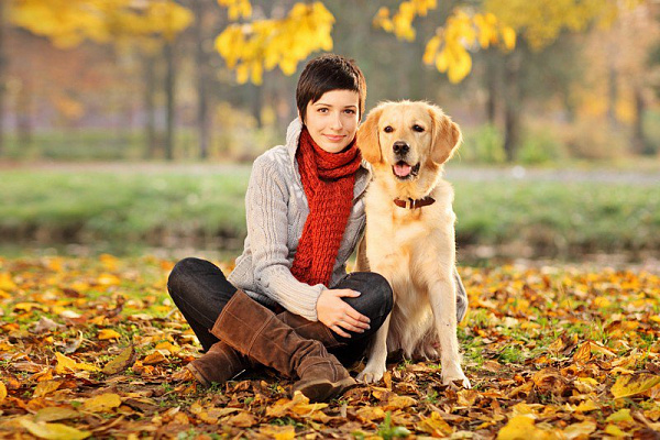 Картина Дівчина та собака 2 - Жіночі сучасні 