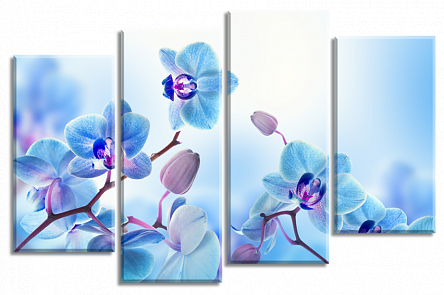Картины Сияющий нежный фон с Орхидеями
